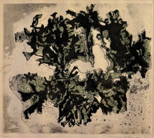 Load image into Gallery viewer, 'Lichen' (Jäkälä) by Tuulikki Pietilä