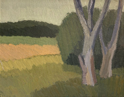 'Landscape from Tanum, Sweden' by Baengt Dimming