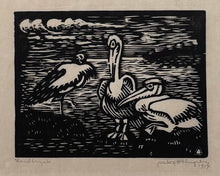 Load image into Gallery viewer, 'Pelicans' by Gustav Holmgren