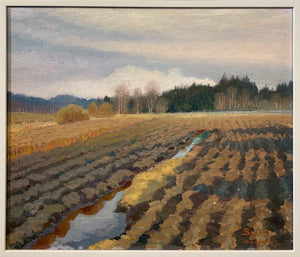 'Field' by Greta Gerell