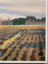 Load image into Gallery viewer, &#39;Field&#39; by Greta Gerell